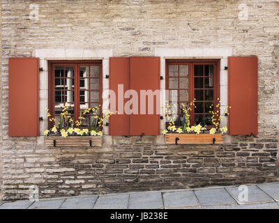 Nahaufnahme von Windows mit Blumen und Fensterläden eines historischen Hauses in Old Quebec City, architektonische Details. Quebec, Kanada. Ville de Québec. Stockfoto