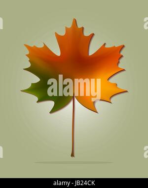 Ahorn im Herbst Verlaufsfarben lassen Stock Vektor