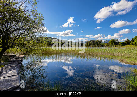 Blick über Coniston Water aus nibthwaite Stockfoto
