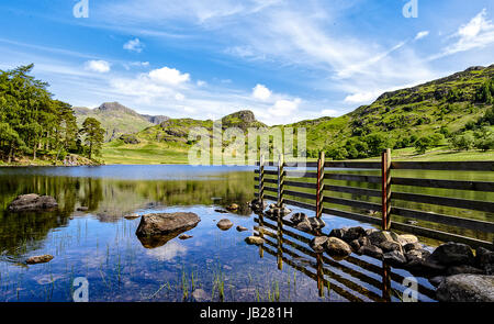 Blea Tarn mit den Langdale pikes in den Lake District National Park. Stockfoto