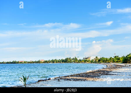 Karibik Strand am späten Nachmittag Licht in Belize, Mittelamerika Stockfoto