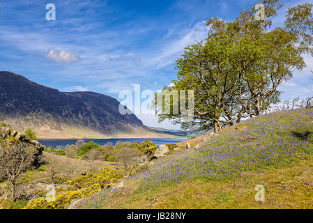 Blick über crummock Wasser aus dem rannerdale Tal in Bluebell Saison Stockfoto