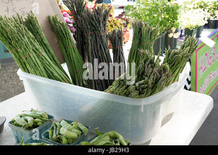 Spargel und Zuckerschoten auf dem Display an Farmers Market Stockfoto