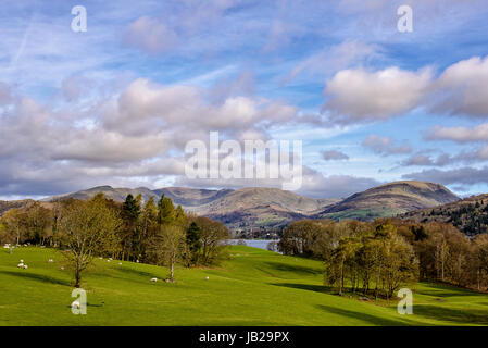 Blick über Windermere aus Gründen der Wray Castle, Ambleside Stockfoto