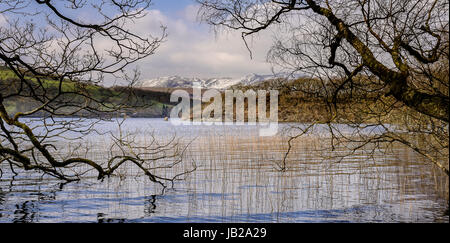 Blick über Coniston Water zu den Schneebedeckten coniston Fells Stockfoto