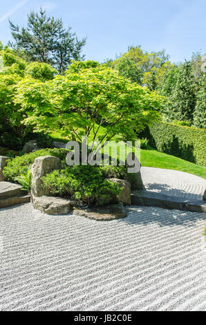 traditionelle japanische Zen Garten Bäume im Hintergrund Stockfoto