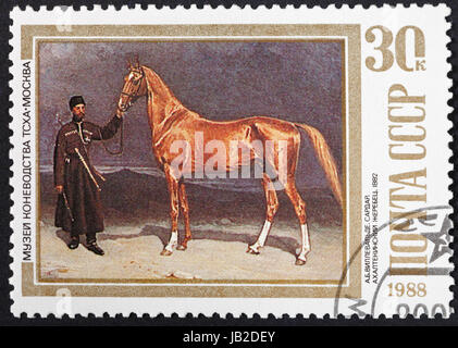 UdSSR - ca. 1988: Eine Briefmarke gedruckt in der USSR zeigt Pferderasse auf Malerei - Achal-Tekkiner Pferde, ca. 1988 Stockfoto