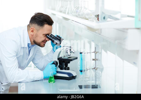 Wissenschaftler arbeiten an Forschung im Labor lächelnd Stockfoto