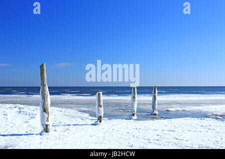 Winter eine der Ostsee, Bei Prerow, Darß, Nationalpark Vorpommersche Boddenlandschaft, Mecklenburg-Vorpommern, Deutschland Stockfoto