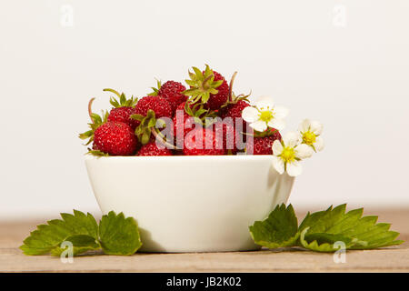 Wild-Erdbeeren in einer weißen Schüssel auf einem Holztisch weißer Hintergrund Stockfoto