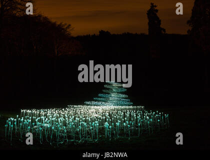 Bruce Munros "Field Of Lights" Lichtskulptur aus Waddesdon Manor NT Winter Lights.  Dezember 2013 Stockfoto