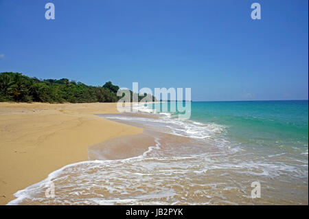 Impressionen vom sonnigen und grünen Costa Rica Stockfoto