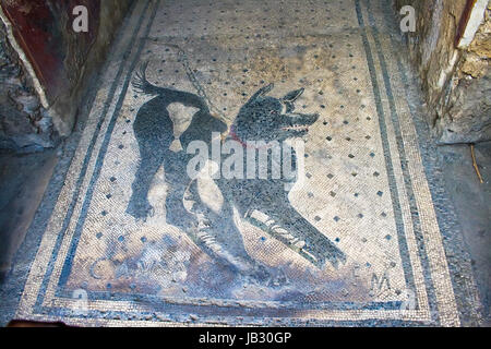 Cave Canem Beware of Dog Mosaik in Pompeji, Italien Stockfoto