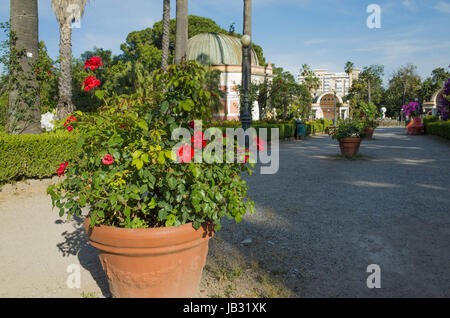 Park Villa Giulia in Palermo; Italien Stockfoto