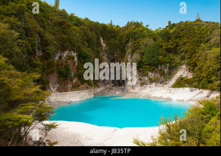 Unglaublich blauen und stark sauren Inferno Crater Lake in der Waimangu geothermische Area, New Zealand Stockfoto