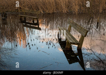 Bänke auf dem Wasser mit Himmel, Wolken und Pflanzen Reflexionen zu sitzen Stockfoto