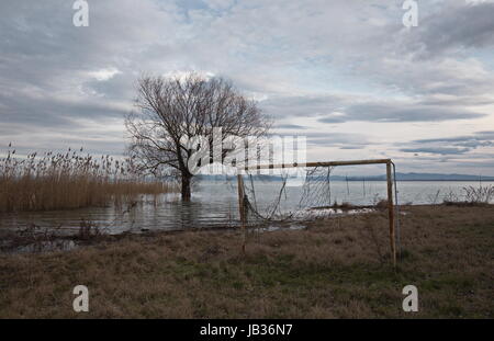 Eine sehr alte und verlassene Fußballtor am Ufer eines Sees, mit einem Baum auf den Hintergrund und ein bewölkter Himmel Stockfoto