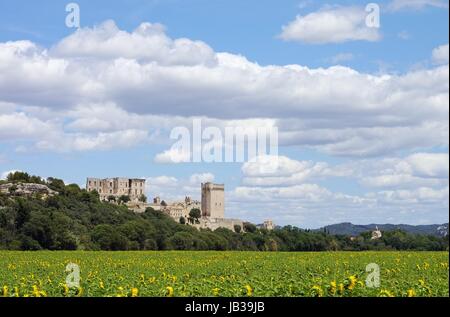 Abbaye de Montmajour 10 Stockfoto