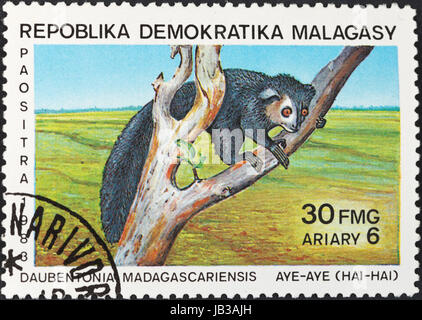 MALAGACY Republik - ca. 1983: Eine Briefmarke gedruckt in Madagaskar zeigt der Aye-Aye (Daubentonia Madagascariensis) Lemur, ca. 1983 Stockfoto