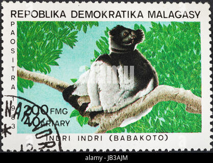 MALAGACY Republik - ca. 1983: Eine Briefmarke gedruckt in Madagaskar zeigt der Indri (Indri Indri) Lemur, ca. 1983 Stockfoto