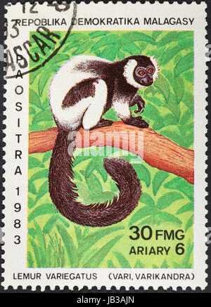 MALAGACY Republik - ca. 1983: Eine Briefmarke gedruckt in Madagaskar zeigt der Vari (Lemur Variegatus) Lemur, ca. 1983 Stockfoto
