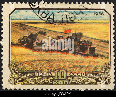UdSSR - ca. 1956: Eine Briefmarke gedruckt in der USSR zeigt beim Ernten von Weizen in der Kolchose-Bauern in der Sowjetunion, ca. 1956 Stockfoto