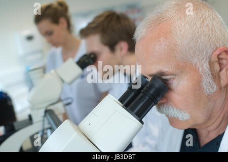 Wissenschaftler untersuchen neue Virus im Labor Stockfoto