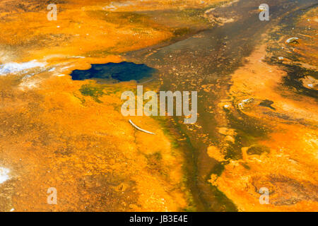 Mikrobielle Matten in geothermische Pools, Yellowstone-Nationalpark, Wyoming Stockfoto