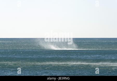 Gewellte Wasseroberfläche in der Gül von La spezia Stockfoto