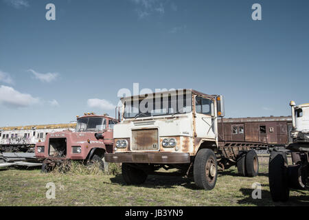 Zwei verlassenen Lastwagen in einem Fahrzeug-Friedhof. Stockfoto