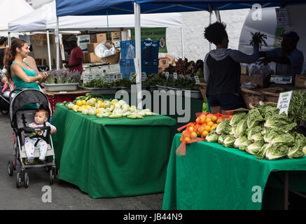 Bauernmarkt Stockfoto