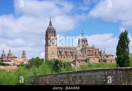 Salamanca Kathedrale 02 Stockfoto