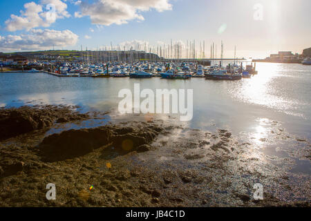 Hafen Sie Hafen bei Ebbe mit Yachten Kleinboote gesichert, The Barbican. Plymouth, Devon, England, UK Stockfoto