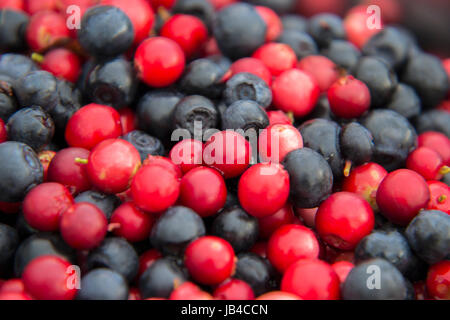 Preiselbeeren und Heidelbeeren gemischt Stockfoto