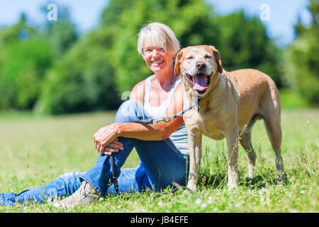 Reife Frau mit einem Labrador Retriever sitzen auf dem Rasen Stockfoto