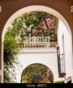 Weiße Hufeisen Bögen rosa Blumen Garten Botschafter Zimmer Alcazar Königspalast Sevilla Andalusien Spanien.  Ursprünglich Einsatz eine maurische Festung, die ältesten königlichen Palast noch im in Europa. In den 1100er Jahren errichtet und umgebaut in den 1300er. Stockfoto