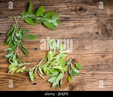 Frisch gepflückt bunten und grünen Salbei auf einem Holztisch Stockfoto