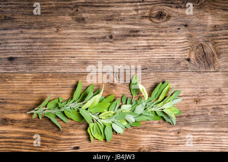 Frisch gepflückt bunten und grünen Salbei auf einem Holztisch Stockfoto