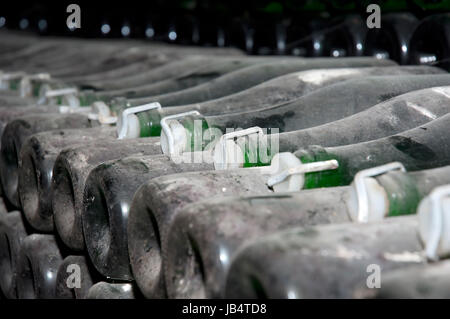 Stapel von Weinflaschen im Weingut. Champagner, Wein-Lagerung Stockfoto