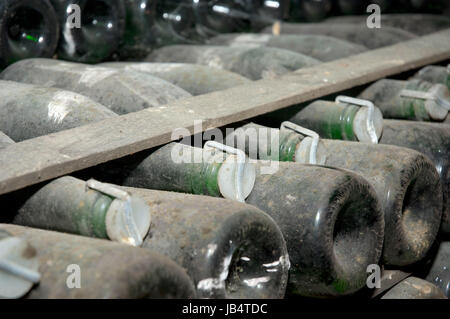 Stapel von Weinflaschen im Weingut. Champagner, Wein-Lagerung Stockfoto
