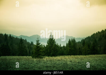 Eine schöne Hügel-Landschaft der Tatra-Gebirge. Warmen sommerlichen Dunst, bunten Kontrast Look. Stockfoto