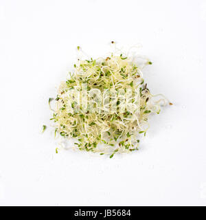 Haufen von Sprossen Alfalfa Samen, Mikro Grüns auf weißem Hintergrund. Gesunde Ernährung Konzept der frischen Garten produzieren aus biologischem Anbau als Symbol für Gesundheit und Vitamine aus der Natur. Microgreens Nahaufnahme. Stockfoto