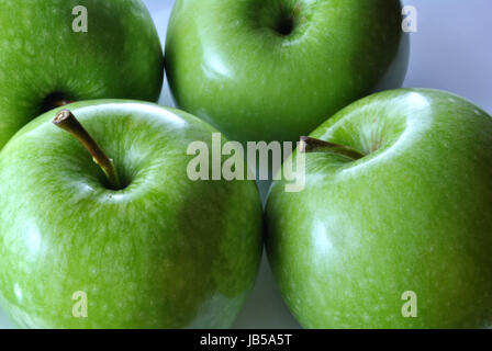 Grüne Äpfel vom Baum essfertig frisch gepflückt Stockfoto