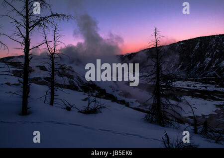 Winter-Sonnenuntergang in Yellowstone Stockfoto