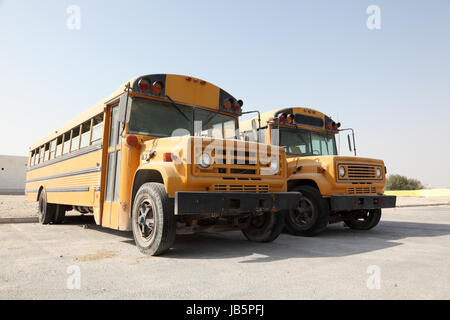 Zwei gelbe Schulbusse auf einem Parkplatz. Doha, Katar, Nahost Stockfoto