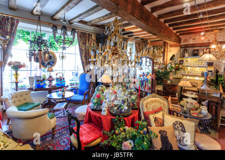 Frankreich, Orne (61), Parc Naturel Régional du Perche, La Perrière, La Maison d'Horbé, Salon de Thé, Galerie, Antiquité, Objets de Dekoration / / Frankreich, Stockfoto