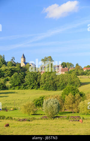 Frankreich, Orne (61), Parc Naturel Régional du Perche, La Perrière / / La, Parc Naturel Regional du Perche (regionale natürliche Parc des Perche), Orne, Frankreich Stockfoto