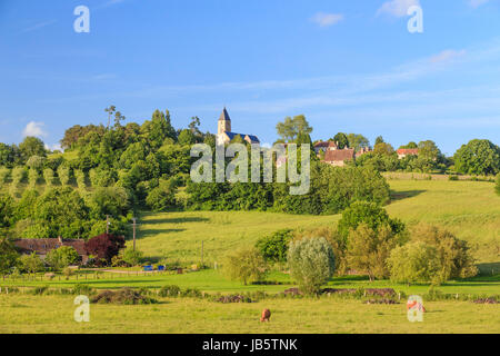 Frankreich, Orne (61), Parc Naturel Régional du Perche, La Perrière / / La, Parc Naturel Regional du Perche (regionale natürliche Parc des Perche), Orne, Frankreich Stockfoto