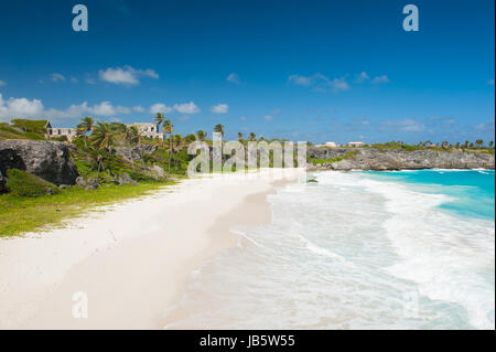 Harrismith Strand ist einer der schönsten Strände auf der Karibikinsel Barbados. Es ist ein tropisches Paradies mit Palmen hängen über türkisblaues Meer und eine Ruine einer alten Villa auf der Klippe Stockfoto