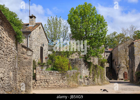 Frankreich, Aveyron (12), la Couvertoirade, Labellisé Les Plus Beaux Dörfer de France, rue du Village / / Frankreich, Aveyron, la Couvertoirade gekennzeichnet Les Stockfoto